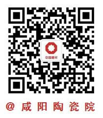 关注瑞星高科
